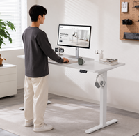 Escritorio de Oficina Ergonómico OEM con Motor Único de Dos Etapas, Altura Ajustable, 1200*600, Mesa Eléctrica para Computadora de Oficina