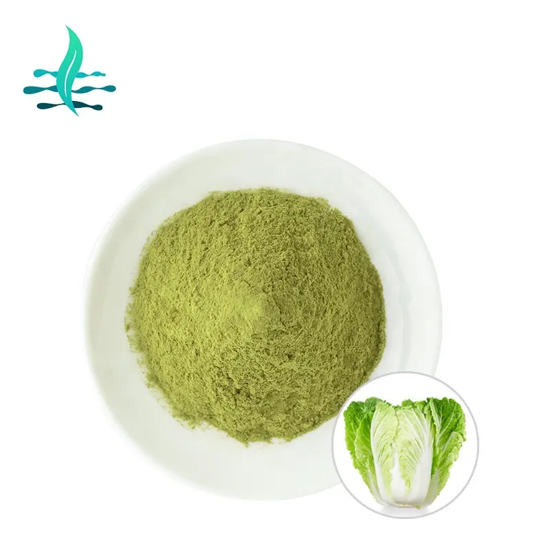 Natural Cabbage extract powder High Quality Chinese cabbage extract powder Food Grade