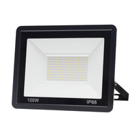 Projecteur LED étanche Ip65 5 W 10W 20W 30W 50W 100W 200W Réflecteurs pour l'extérieur