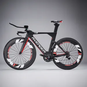Time Trial Triathlon Bike Chinese Fixed brand coating Color Carbon Bicycles frame TM6(FM109)