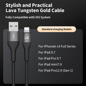 Câble de charge rapide USB-A vers iOS 2.4A avec connecteur PIN amélioré pour <span class=keywords><strong>iPhone</strong></span> 6-14, coque en aluminium, compatible OEM UE/US - Product Image 1