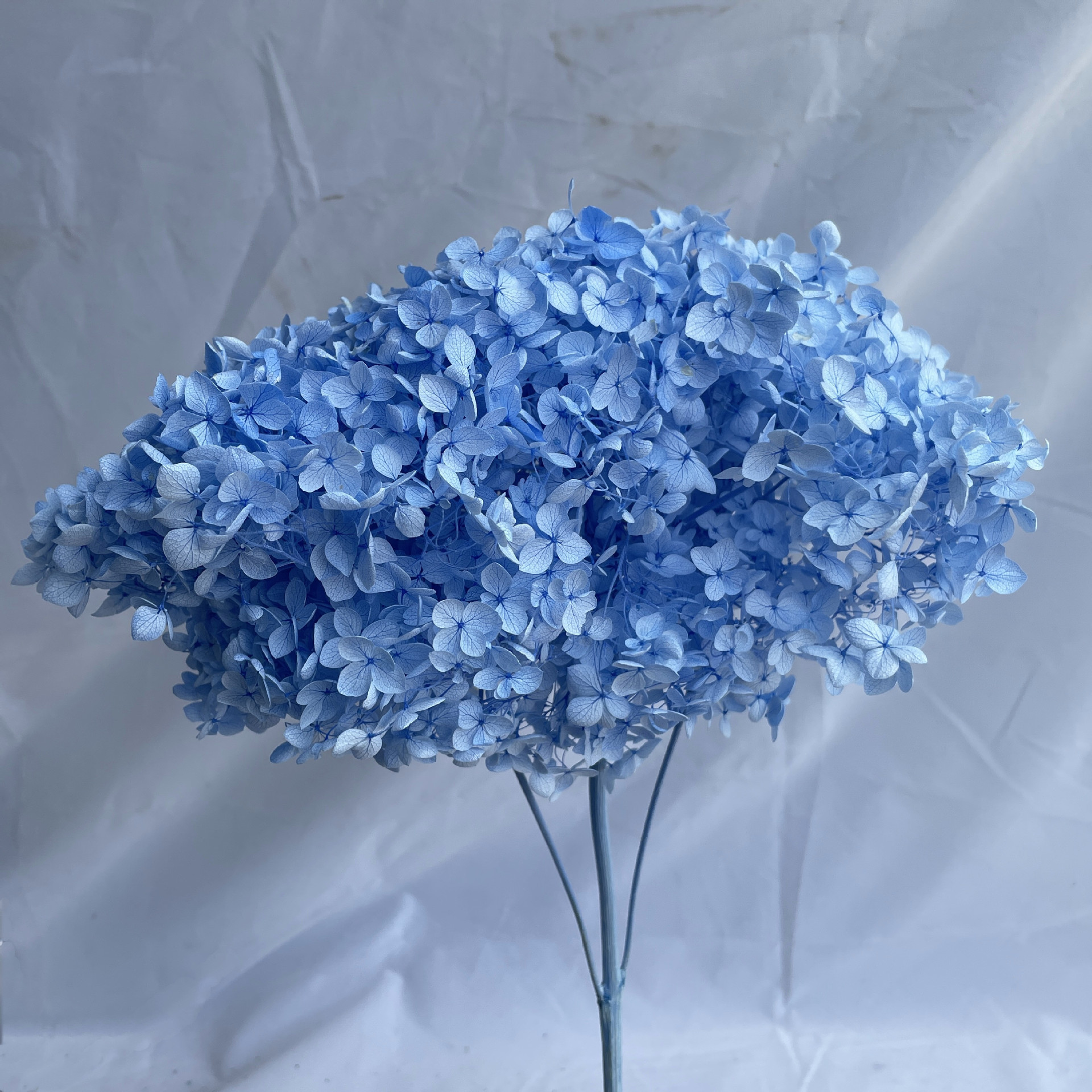 Bleu ciel