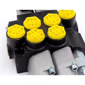 วาล์วควบคุมทิศทางไฮดรอลิก P40-G12-2OT |   ผู้ผลิตมืออาชีพ ผู้จัดจำหน่ายระดับโลก และผู้ให้บริการโซลูชันตามความต้องการ - Product Image 4