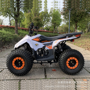 <span class=keywords><strong>Mini</strong></span> <span class=keywords><strong>moto</strong></span> tout-terrain XYPS 110cc 2 temps Little Falcon - Product Image 3