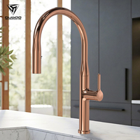 Robinet de cuisine moderne à un seul trou en laiton noir avec douchette extractible