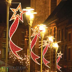 TOPREXDECORクリスマスホリデー照明屋外2DLED旗竿モチーフライト