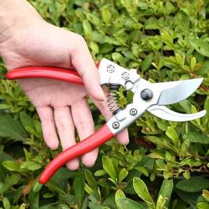 <span class=keywords><strong>Sécateur</strong></span> <span class=keywords><strong>professionnel</strong></span> pour arbres fruitiers de jardin <span class=keywords><strong>japonais</strong></span>, cisailles de jardinage manuelles en acier à haute teneur en carbone SK5 - Product Image 2