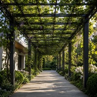 Pergola Intelligente Électrique Améliorée avec Capteur de Pluie, Pare-Soleil à Lames Orientables, Imperméable, Treillis pour Vignes, Abri de Jardin Extérieur, Revêtement Poudré
