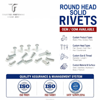 TianFang Rivets Pleins Tête Ronde Galvanisés Multi-Tailles Aluminium Acier pour Lignes d'Assemblage 100% Inspectés