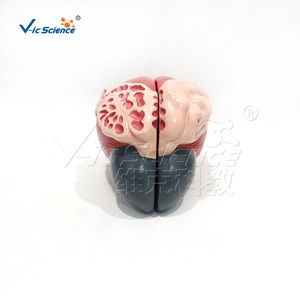 3 - Product Image 4