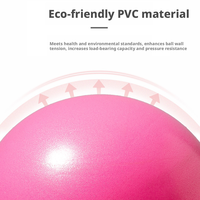 Ballon de Pilates en PVC en gros, mini-ballon d'exercice de 25 cm pour le renforcement du tronc, le tonification des fessiers, la barre et le yoga à domicile