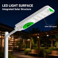 Farola Solar Integrada de 500W con Control Automático de Luz, Amplio Rango de Temperatura, para Carreteras, Áreas de Descanso, Caminos Rurales, Soporte de Ingeniería