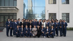 Sistema de Cerca de Malla de Alambre Galvanizado en Caliente Estándar Australiano, Cerca de Eslabones de Cadena de Fácil Montaje, 6 pies de Altura - Product Image 3