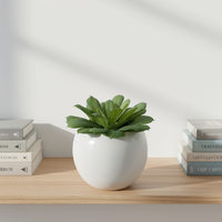 Succulentes Artificielles en Gros, Effet Naturel, Résistantes aux UV, Écologiques, Décoration Intérieure, Haute Simulation, Vente en Gros