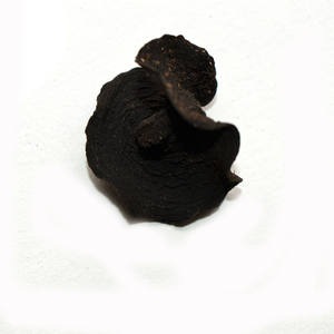 Vente en gros de champignons bulgares séchés Inquinans Gouttes de gelée noire bulgare noire à vendre - Product Image 3