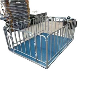 डिजिटल डिस्प्ले के साथ इलेक्ट्रॉनिक प्लेटफॉर्म वजन-पैलेट ट्रक - Product Image 1