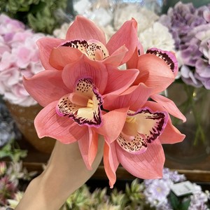 RK230 Bouquet d'orchidées artificielles <span class=keywords><strong>Cymbidium</strong></span> de haute qualité à 4 têtes, toucher réel, pour décorations de mariage et de maison - Product Image 5