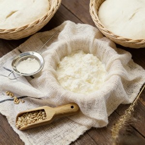 Starter de bactéries lactiques probiotiques (Lactobacillus Plantarum Core) certifié ISO9001, auxiliaire de fermentation industrielle, Chine - Product Image 6