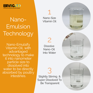 Olio di Vitamina E Idrosolubile, Soluzione Orale per l'Allevamento di Pollame, Fertilità, Schiusa delle Uova, Produzione di Uova e Crescita - Product Image 4
