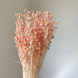 <span class=keywords><strong>Bouquet</strong></span> de <span class=keywords><strong>fleurs</strong></span> <span class=keywords><strong>séchées</strong></span> et préservées Rich Beans 16 couleurs 50g et lots d'artisanat pour la Fête des Mères - Product Image 5