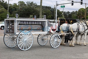 Glass Covered White Funeral Hearse Electric Horse Carriage Horse-drawn Coffin Carriage Electric Funeral Buggy - Product Image 4