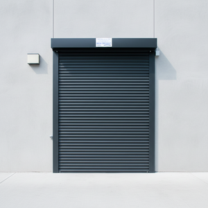 Puertas <span class=keywords><strong>de</strong></span> Garaje Dobles Económicas en Oferta, Personalizadas, con Aislamiento, Control Remoto, <span class=keywords><strong>para</strong></span> Uso Residencial - Product Image 1