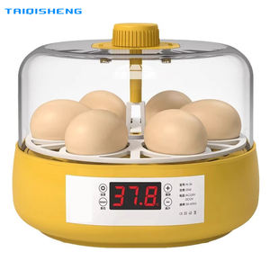 Incubateur d'œufs intelligent entièrement automatique pour petits élevages domestiques, avec lit d'eau, pour œufs de cailles, de poussins et de perroquets - Product Image 1