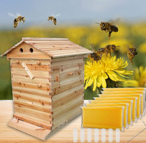Maison en bois USMILEPET, ruche automatique pour abeilles, équipement d'apiculture, ruche à flux automatique - Product Image 6