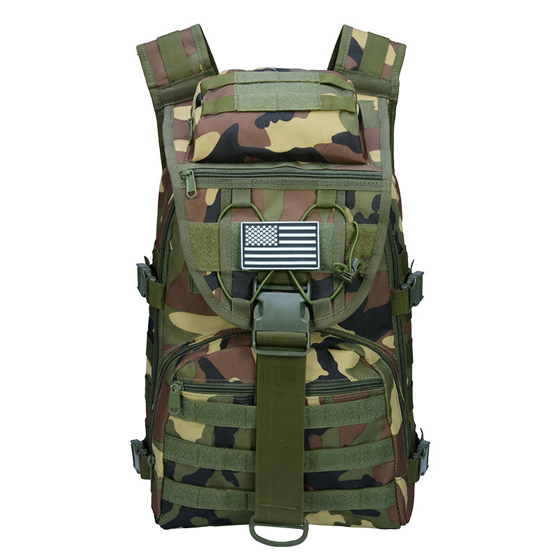 ดิจิทัลแห่งป่า