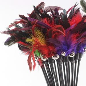 <span class=keywords><strong>Cat</strong></span> Teaser <span class=keywords><strong>Toy</strong></span> Kunststoff Pole Feather <span class=keywords><strong>Cat</strong></span> Teaser Stick Interaktive Katze spielt <span class=keywords><strong>Toy</strong></span> Teaser Stick - Product Image 5