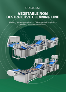 Machine de traitement des légumes, Ligne de lavage de la laitue, Ligne de lavage des fruits et <span class=keywords><strong>tomates</strong></span>, Machine à laver <span class=keywords><strong>les</strong></span> légumes - Product Image 4