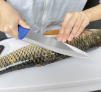 Yeehand Nouveauté Couteau à fileter de 9 pouces en acier 3Cr13 avec manche en ABS
