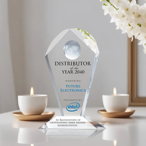 Trophée en cristal noble, <span class=keywords><strong>prix</strong></span> du champion, design <span class=keywords><strong>globe</strong></span> pour événements sportifs, reconnaissance d'entreprise - Product Image 3