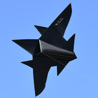 2025 nouvelle Collection adulte et enfants avion de chasse cerf-volant haut de gamme grand cerf-volant de dessin animé noir en plastique Durable
