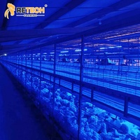 Cage de poulet d'équipement d'élevage de poulets de chair de type chaîne automatique de haute qualité