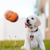 Klassische Mittelgroße Springbälle für Hunde 20-60 Pfund Langlebiger Silikon-Gummi-Latex-Sisal Schwimmender Wasser-Haustierball für Aktive Hunde