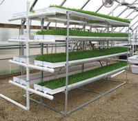 Serre Commerciale Intérieure Végétale Culture Verticale Commerciale Aéroponie Fourrage Système Hydroponique Pot Net Canal Nft Pvc Bac À Herbe Micro-Verte Gouttière