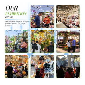 <span class=keywords><strong>Sapin</strong></span> de Noël artificiel pré-éclairé de 9 <span class=keywords><strong>pieds</strong></span> en <span class=keywords><strong>sapin</strong></span> de Dunhill écologique avec lumières LED bicolores et support - Product Image 6