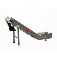 Ruipacking-Automatic Nehmen Sie das fertige Förderband für Lebensmittel korn produkte zum Mitnehmen