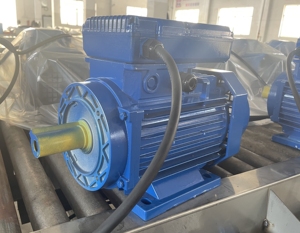 1.5HP 1.1KW ปรับแต่งได้2980รอบต่อนาทีมอเตอร์ไฟฟ้าเหนี่ยวนำกระแสสลับ220V/230V - Product Image 2