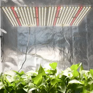 650W Volledige Spectrum Quantum Led Planten Verlichting Voor Indoor Tuin Led Licht Groeien