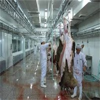 Ligne de traitement complète d'abattage de moutons à petite échelle