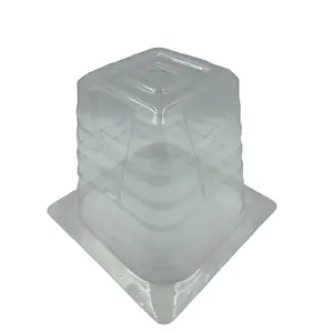 Made In China High-quality Transparent Square Plant Protective Cover Plastic Plant Protective Cover