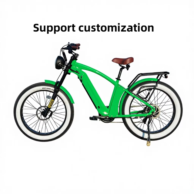 48V 750W Central Motor Electric Fat Tire Bike Hydraulic Disc Brake Adult Model up to 60 km Range Electric Bike Wholesale
