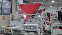 Machine de fabrication de sacs de courrier multifonctionnelle à deux lignes avec scellage latéral et découpe à chaud pour OPP, BOPP, PE