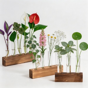 Support de table en bois massif pour tubes à essai, décoration de table, support pour plantes et fleurs avec tubes en verre transparent, pot hydroponique pour verdure et fleurs - Product Image 3