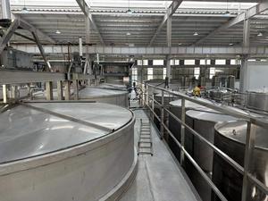 Poudre de pignons, 1 pièce de haute qualité pour confitures, bonbons douces, boisson douce - Product Image 5