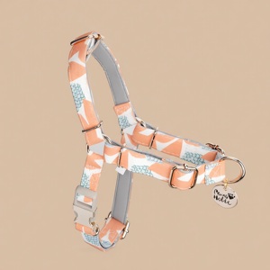 Harnais pour chien de petite taille en coton respirant de qualité supérieure avec boucles modernes personnalisées et conception de sécurité détachable durable pour petits chiens - Product Image 1