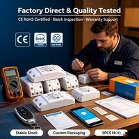 Système de Maison Intelligente, Interrupteur Intelligent, Contrôle Vocal, Contrôle à Distance par Application Mobile, Compatible WIFI, 220V, Pièces Modifiables, National