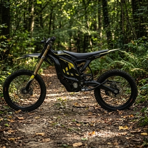 <b>Light</b> 2 Zerogo 2026 Black 410N.m Torque 215mm Front Shock 1. Increased Power Improved Accelerationperformance 0-80 Km/h I - Product Image 3